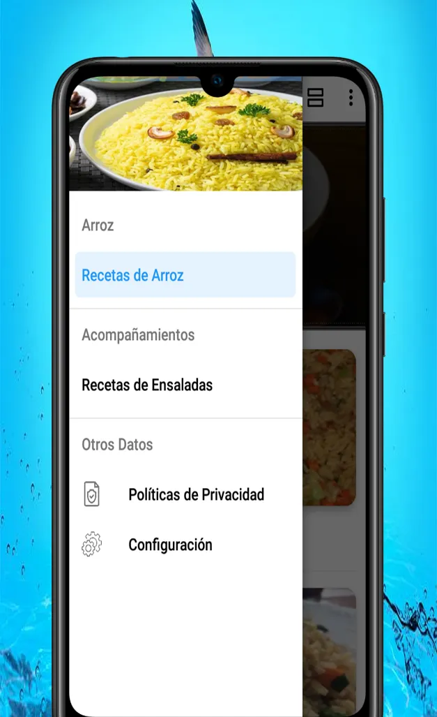 Recetas de Arroz | Indus Appstore | Screenshot