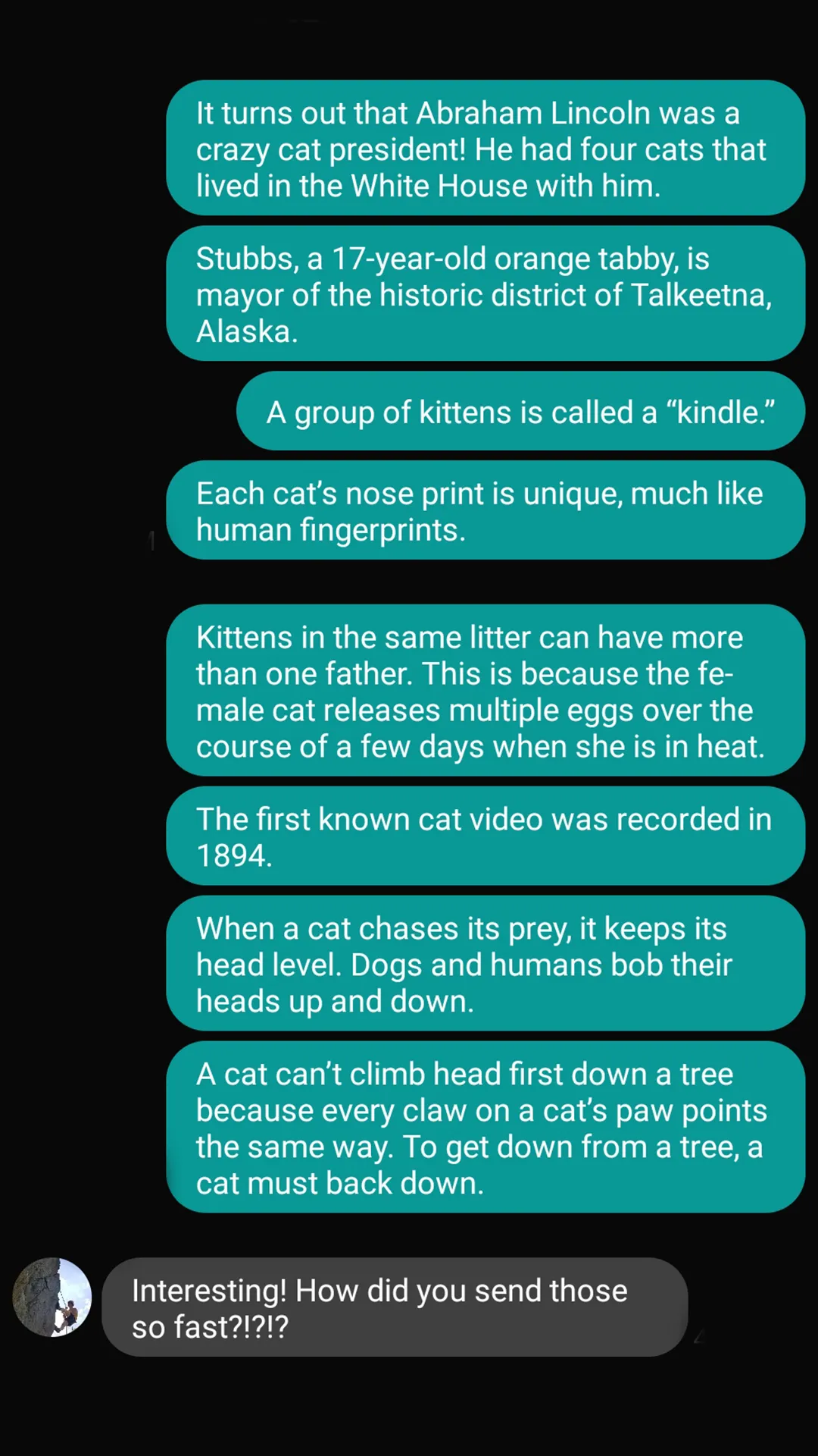 Cat Fact Attack | Indus Appstore | Screenshot