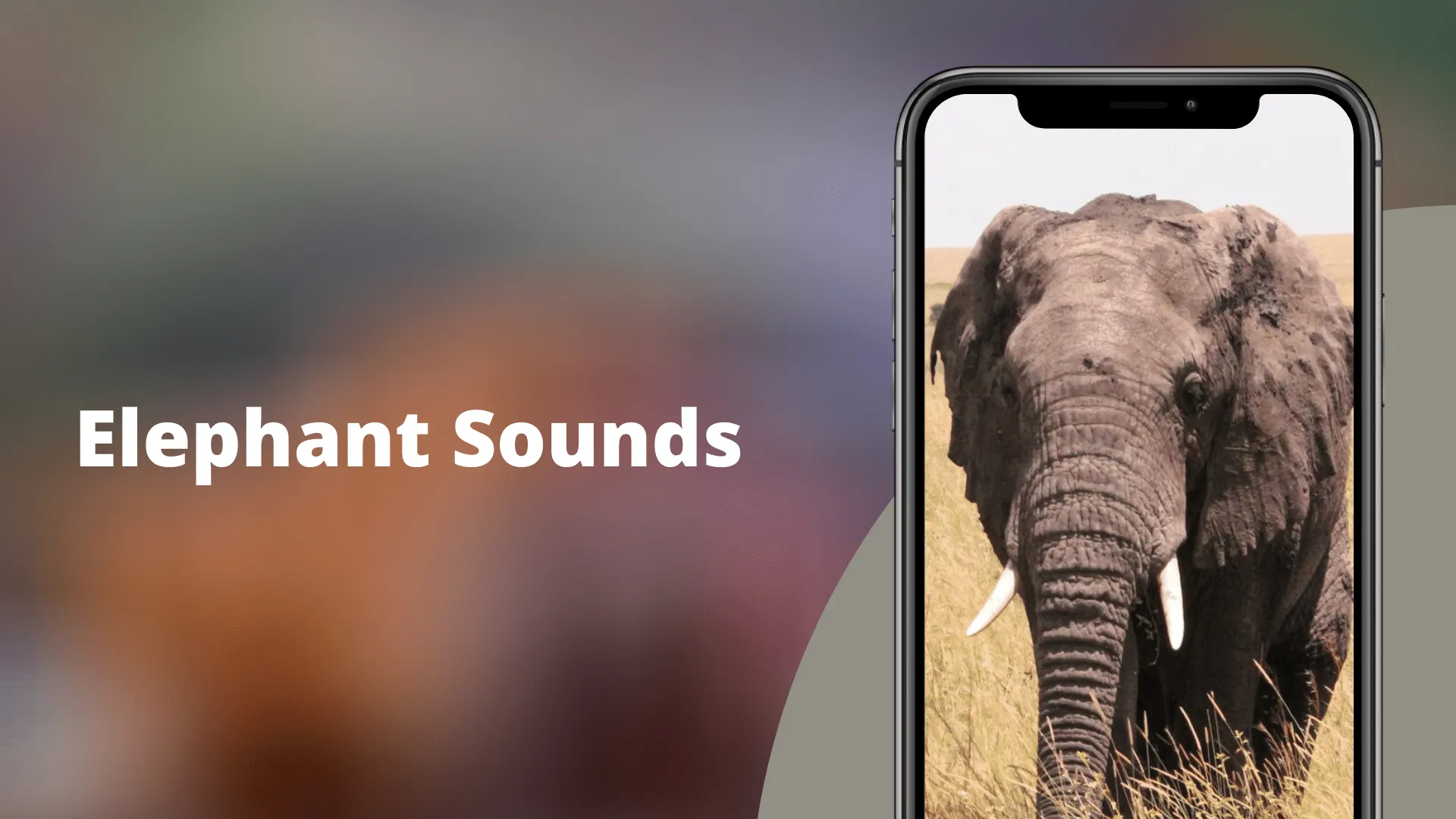 Elephant Sounds | Indus Appstore | Screenshot