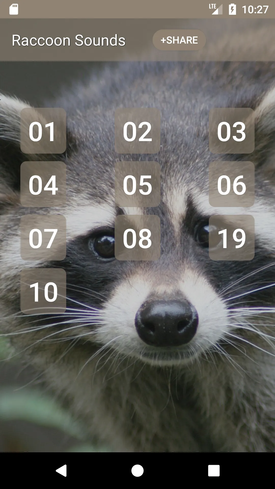 Raccoon Sounds | Indus Appstore | Screenshot