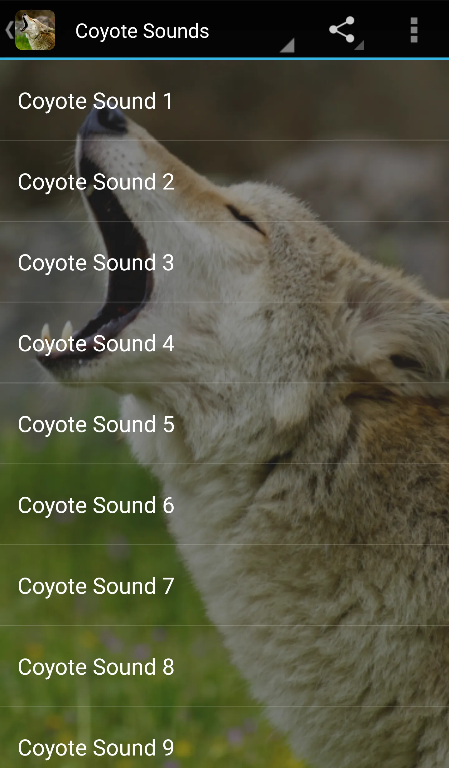 Coyote Sounds | Indus Appstore | Screenshot