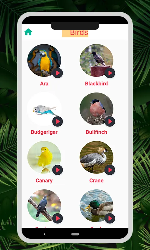 Animal & Bird Sounds | Indus Appstore | Screenshot