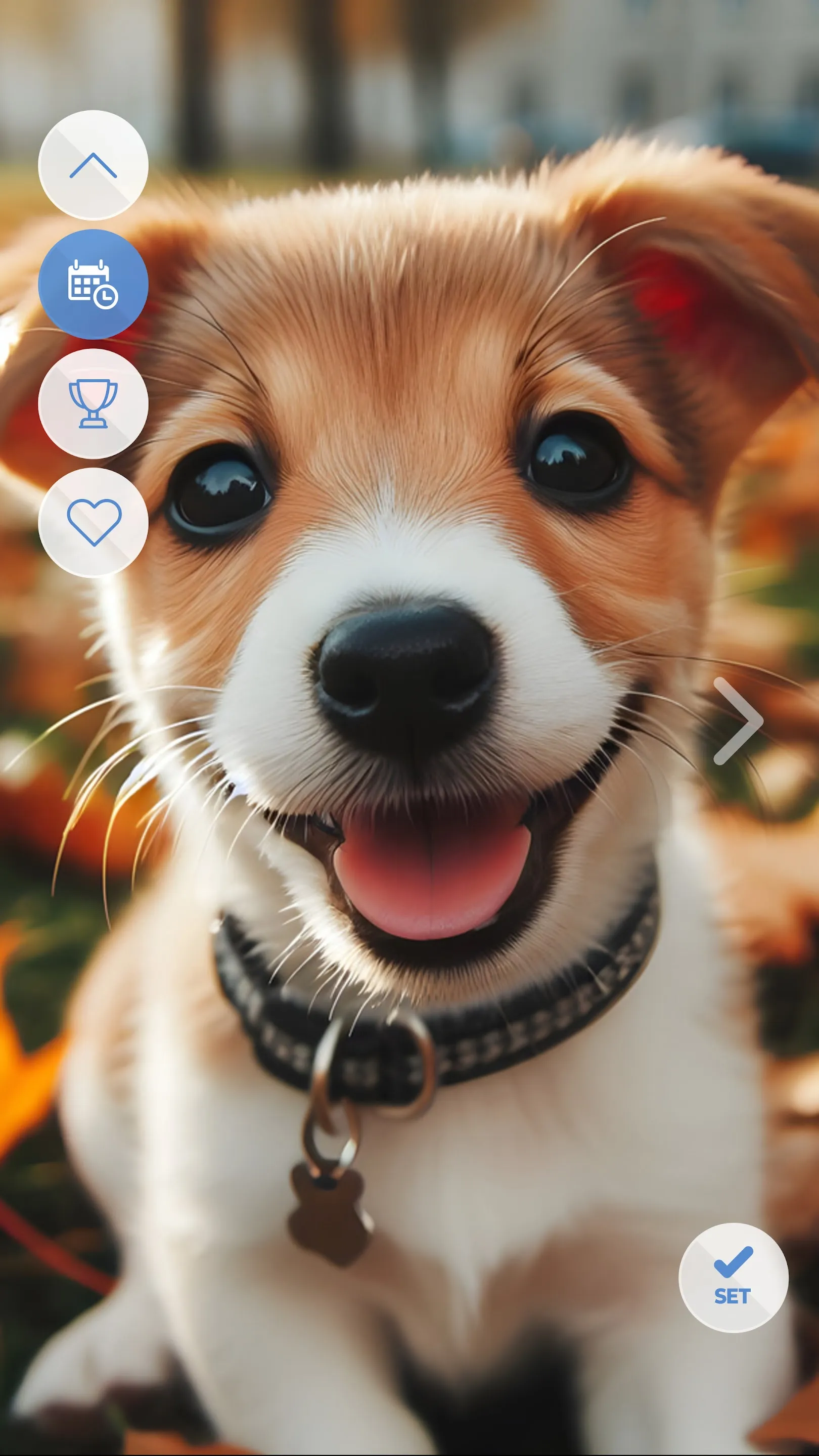 Dogs Cool Wallpapers | Indus Appstore | Screenshot