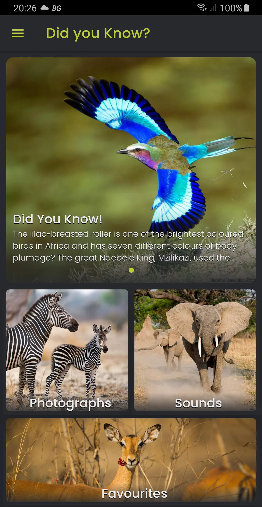 Did you know: African Wildlife | Indus Appstore | Screenshot