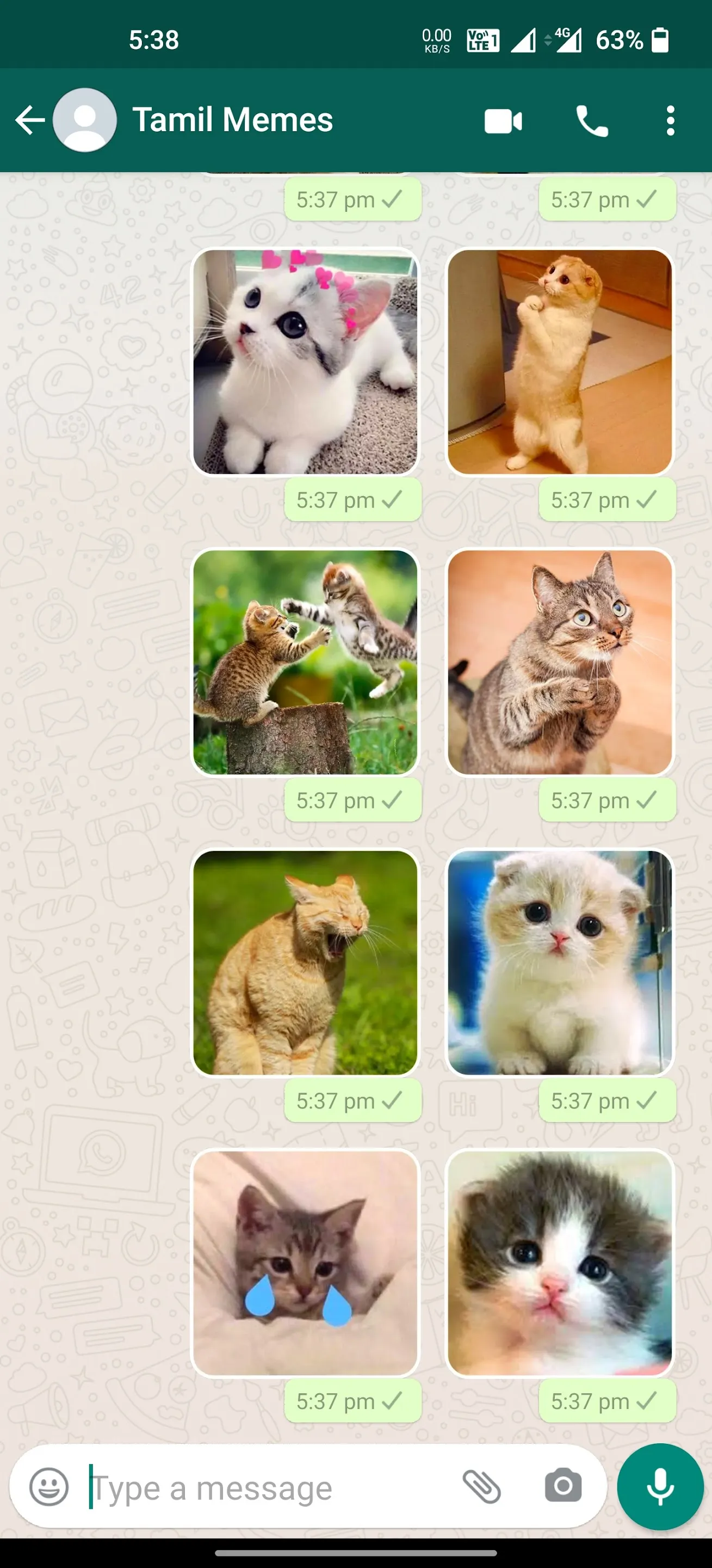 Cat Stickers | WAStickerApps | Indus Appstore | Screenshot