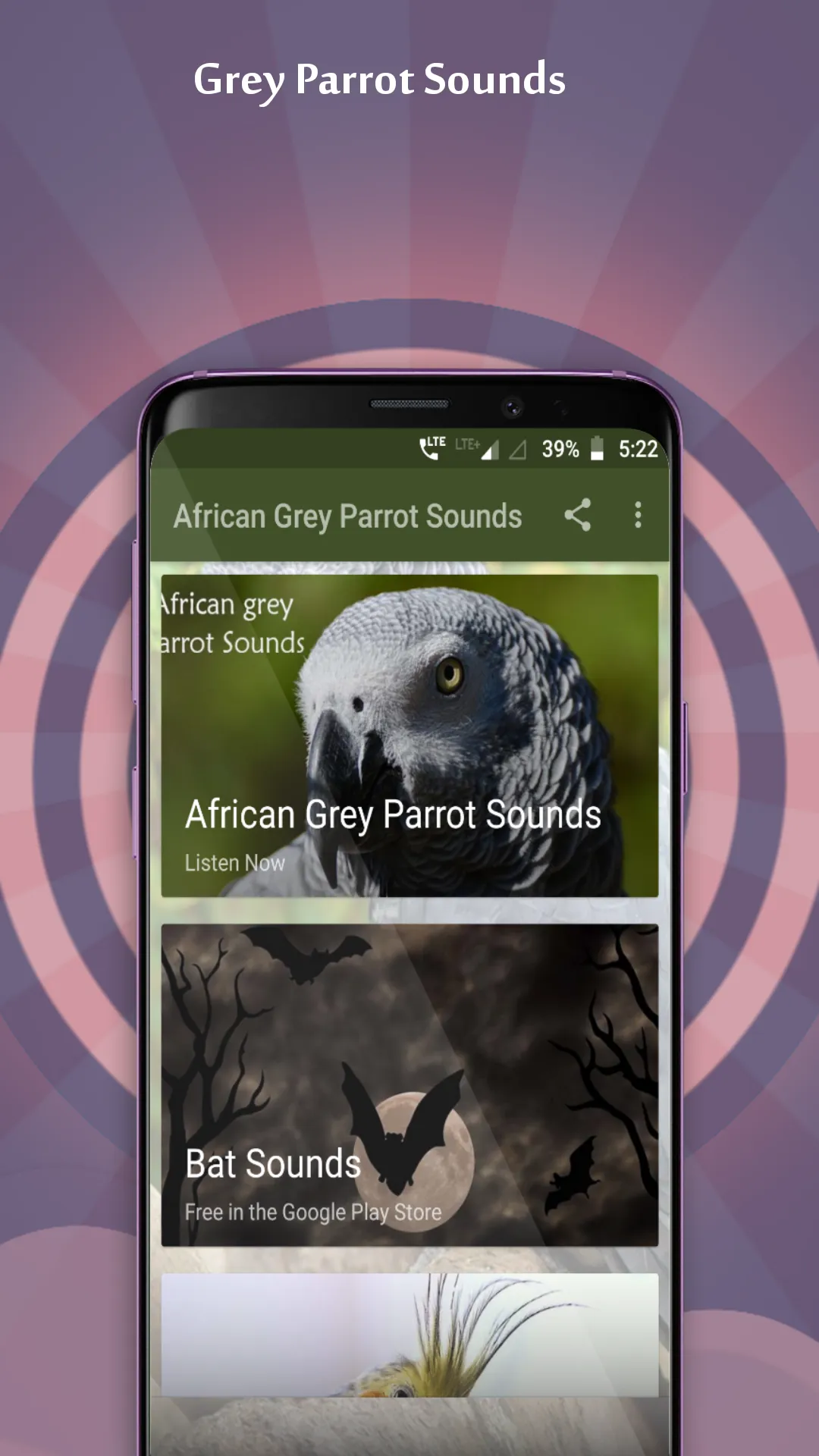 African Grey Parrot Sounds | Indus Appstore | Screenshot