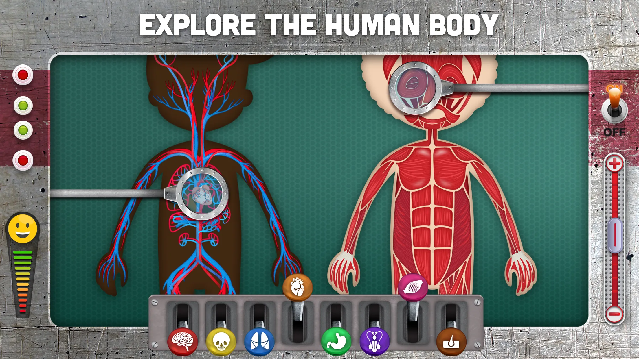 How does The Human Body Work? | Indus Appstore | Screenshot