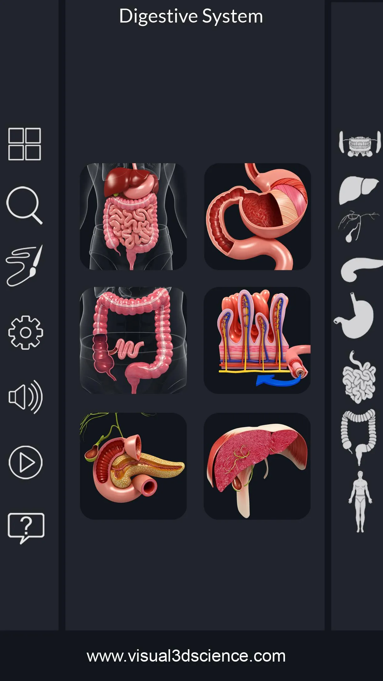 Digestive System | Indus Appstore | Screenshot