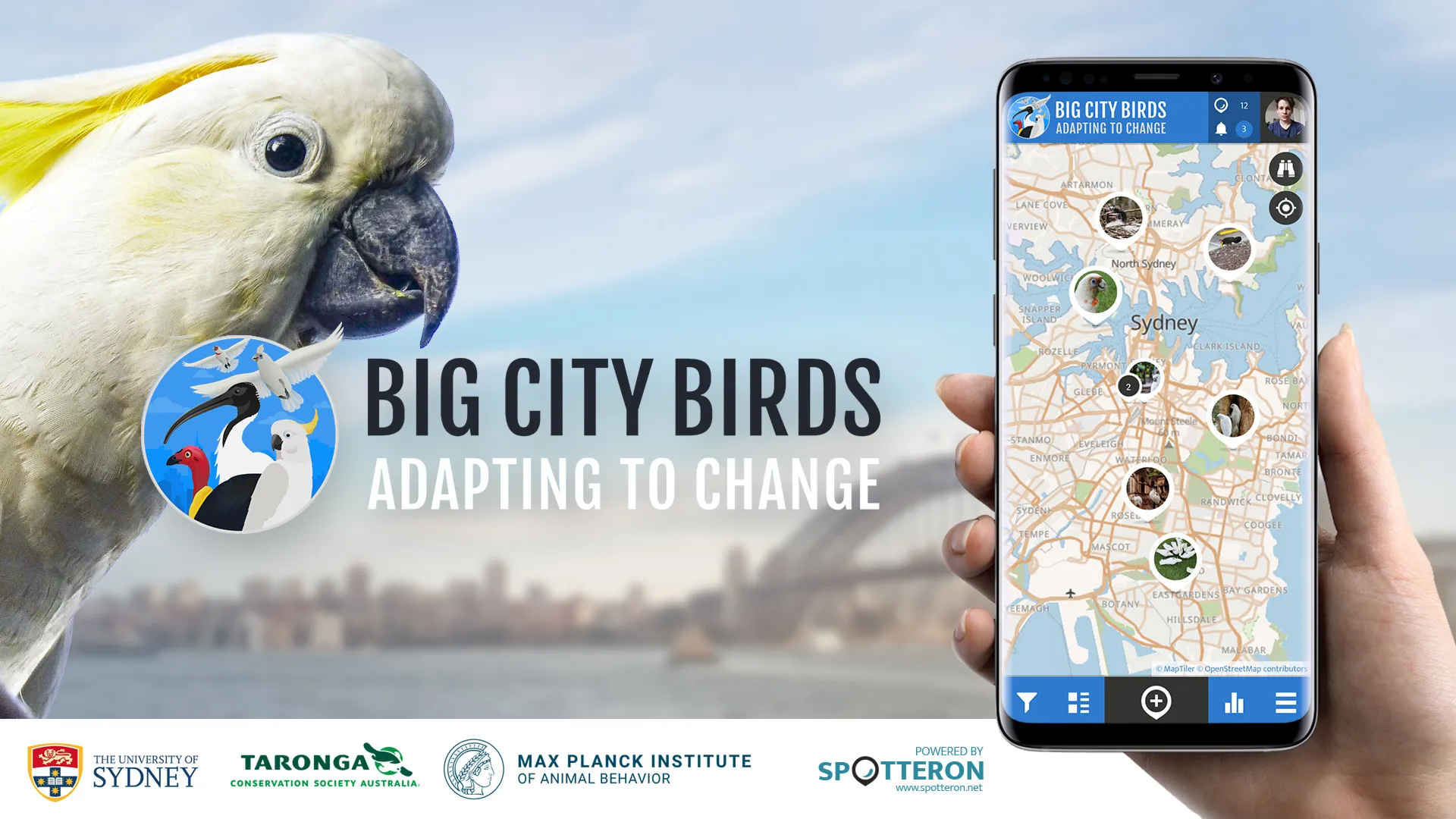 Big City Birds | SPOTTERON | Indus Appstore | Screenshot