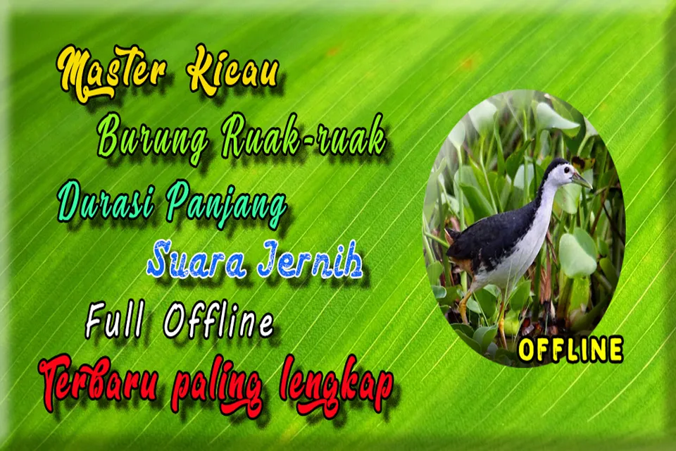 Suara Burung Ruak Ruak MP3 | Indus Appstore | Screenshot