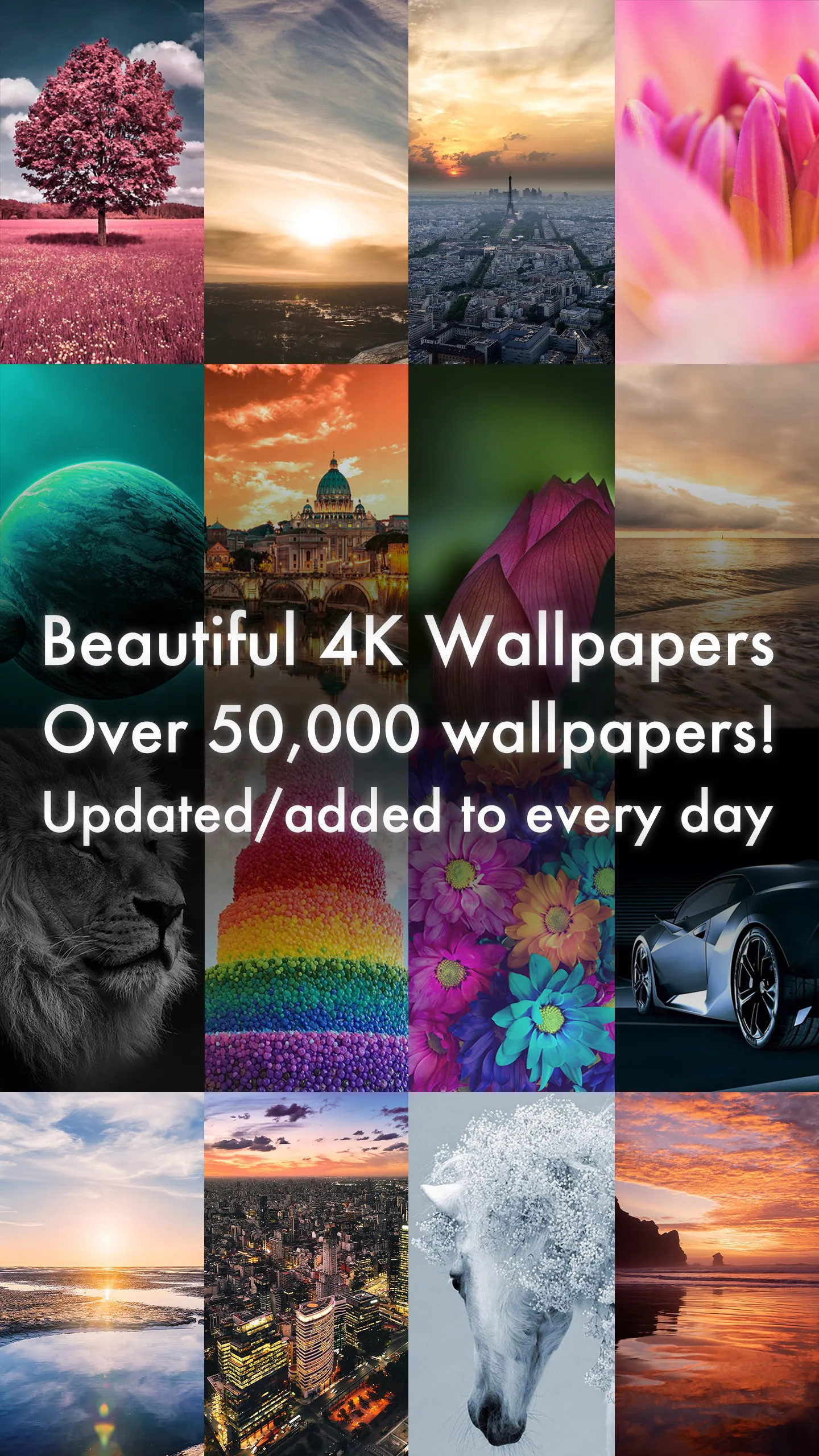 Beautiful 4K/HDR Wallpapers | Indus Appstore | Screenshot