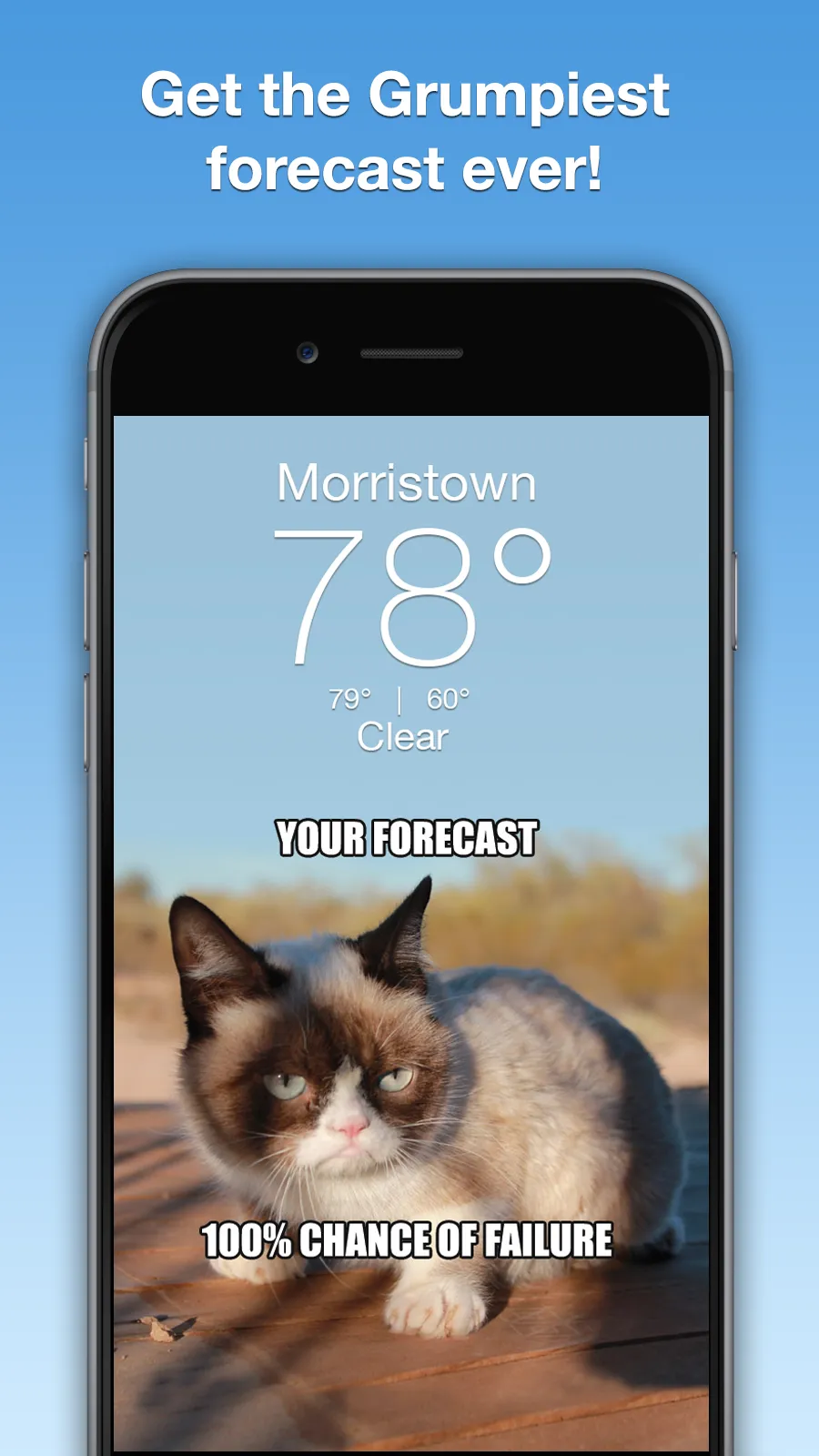 Grumpy Cat Weather | Indus Appstore | Screenshot