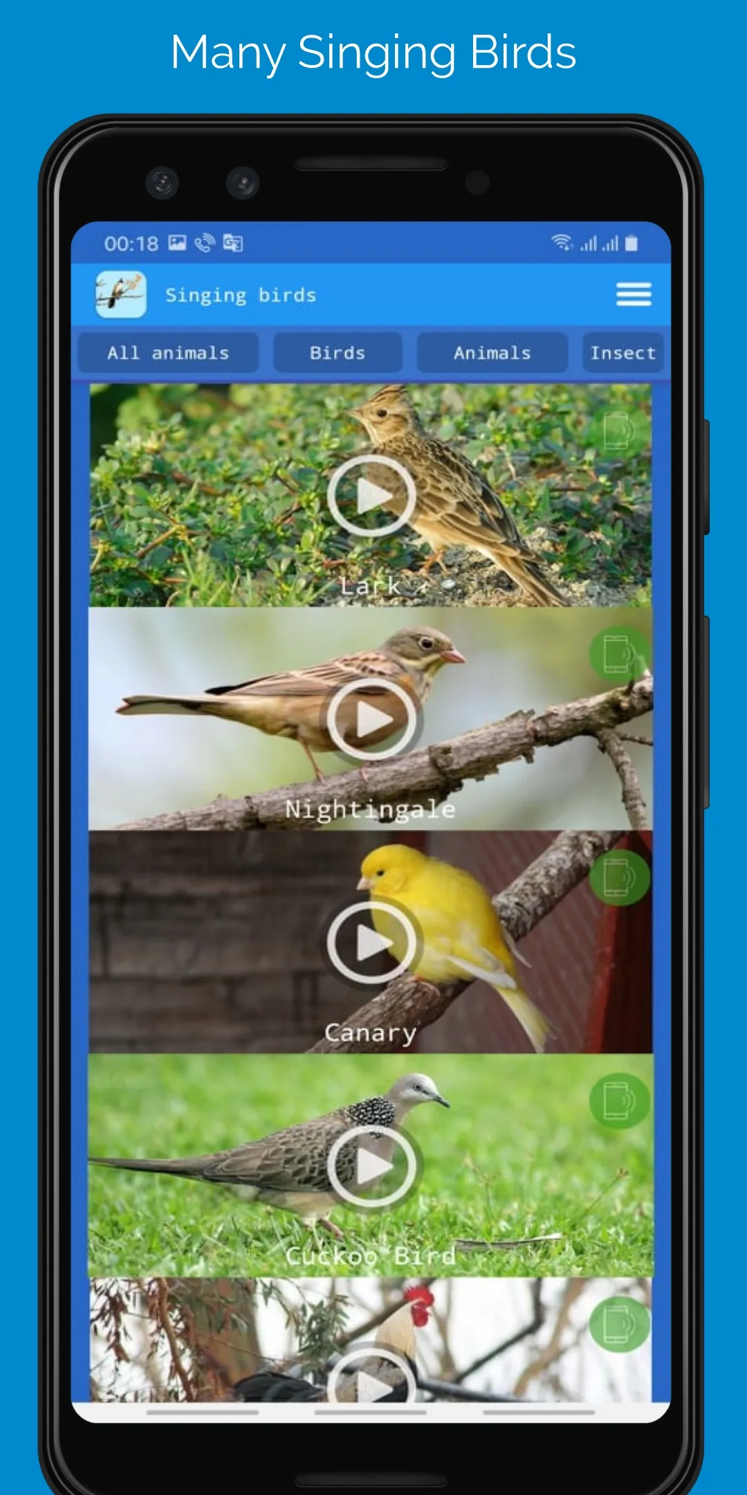 Singing Birds | Indus Appstore | Screenshot