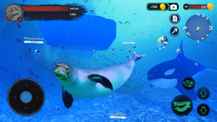 The Seal | Indus Appstore | Screenshot