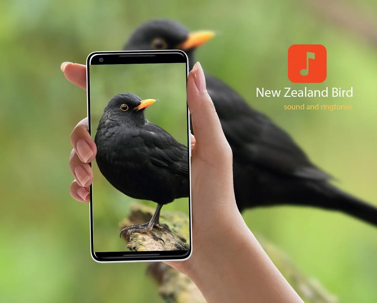 NZ Bird Sounds | Indus Appstore | Screenshot