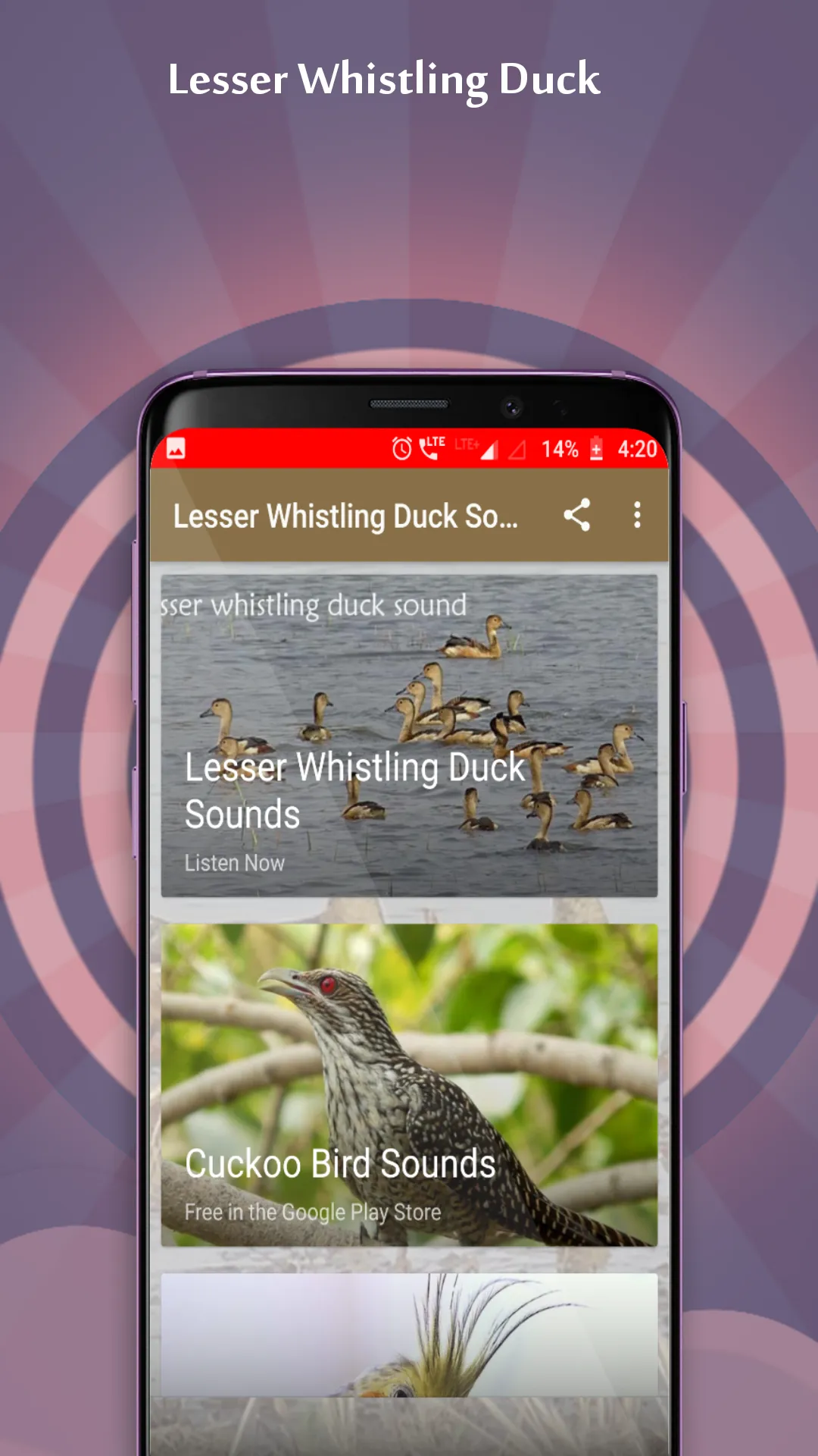 Lesser Whistling Duck Sounds | Indus Appstore | Screenshot