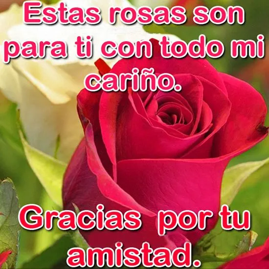 Rosas con Frases Bonitas | Indus Appstore | Screenshot