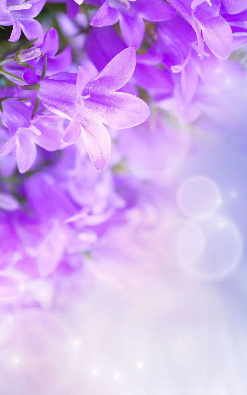 Lilac Flowers Live Wallpaper | Indus Appstore | Screenshot