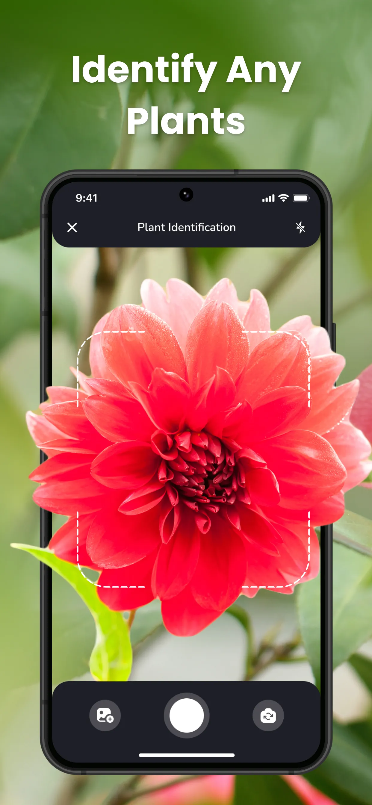 PlantIn Plant Identifier, Care | Indus Appstore | Screenshot