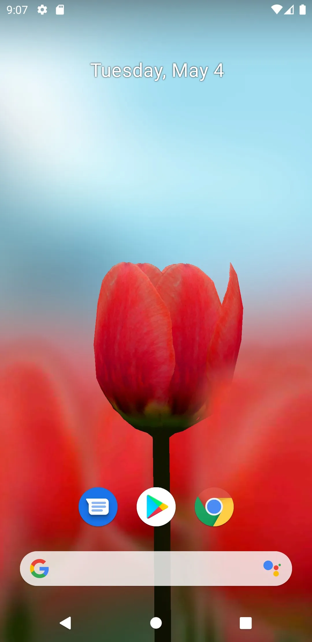 3D Tulip Live Wallpaper | Indus Appstore | Screenshot