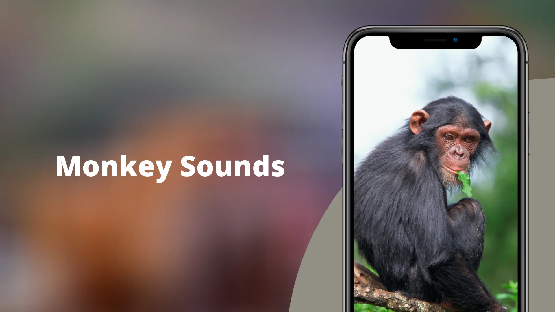 Monkey Sounds | Indus Appstore | Screenshot