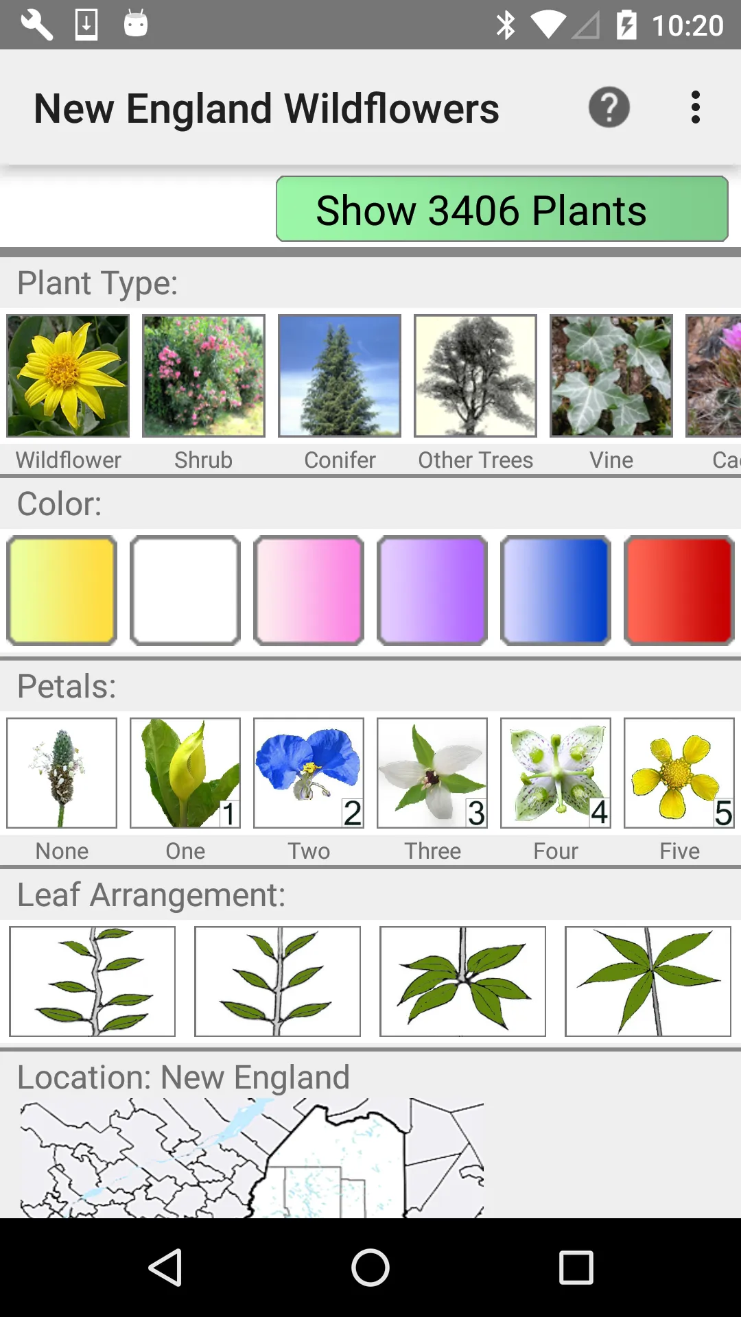 New England Wildflowers | Indus Appstore | Screenshot