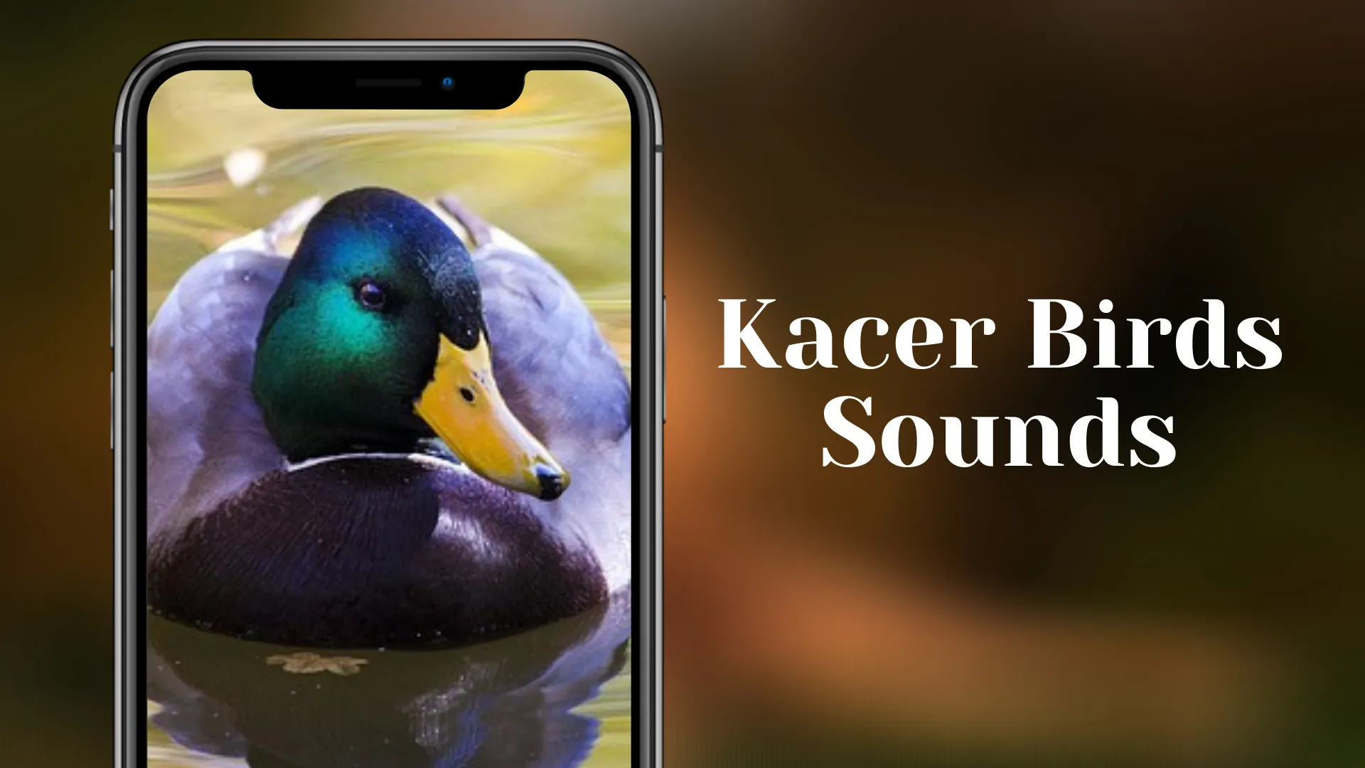 Kacer Birds Sounds | Indus Appstore | Screenshot