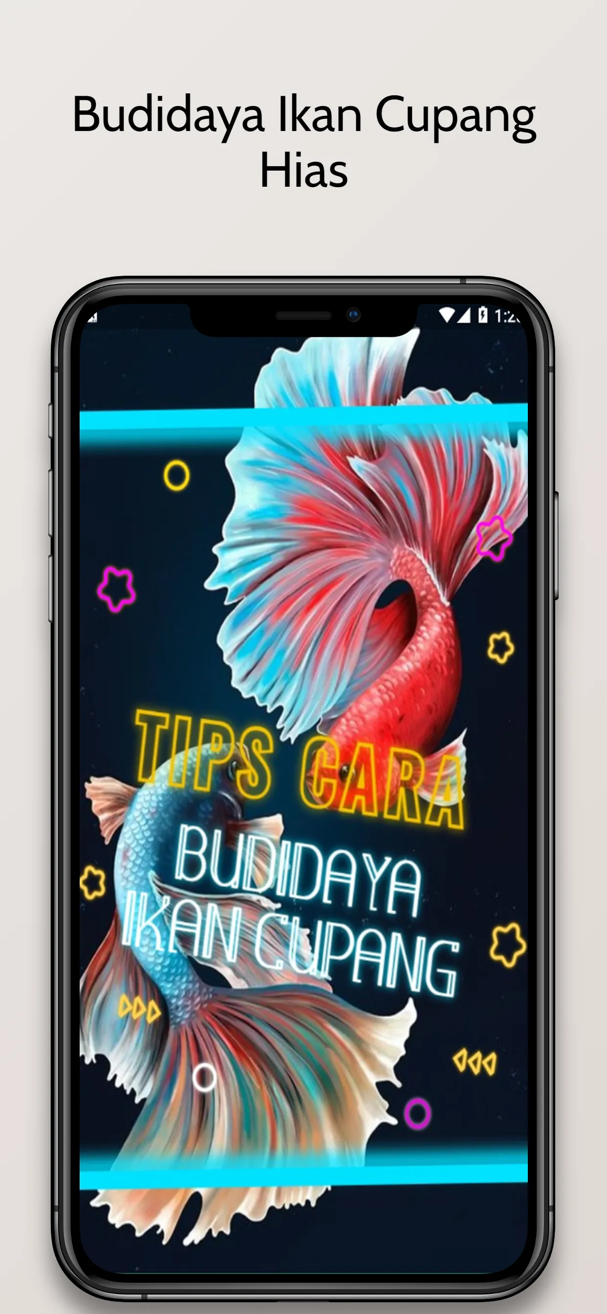 Budidaya Ikan Cupang Hias | Indus Appstore | Screenshot