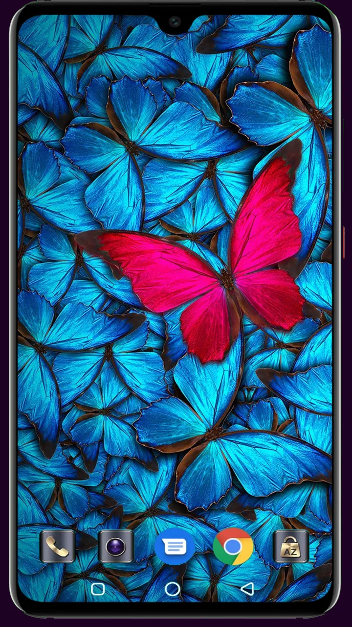 Butterfly Wallpaper | Indus Appstore | Screenshot