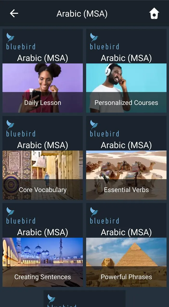 Learn MSA Arabic. Speak MSA Ar | Indus Appstore | Screenshot