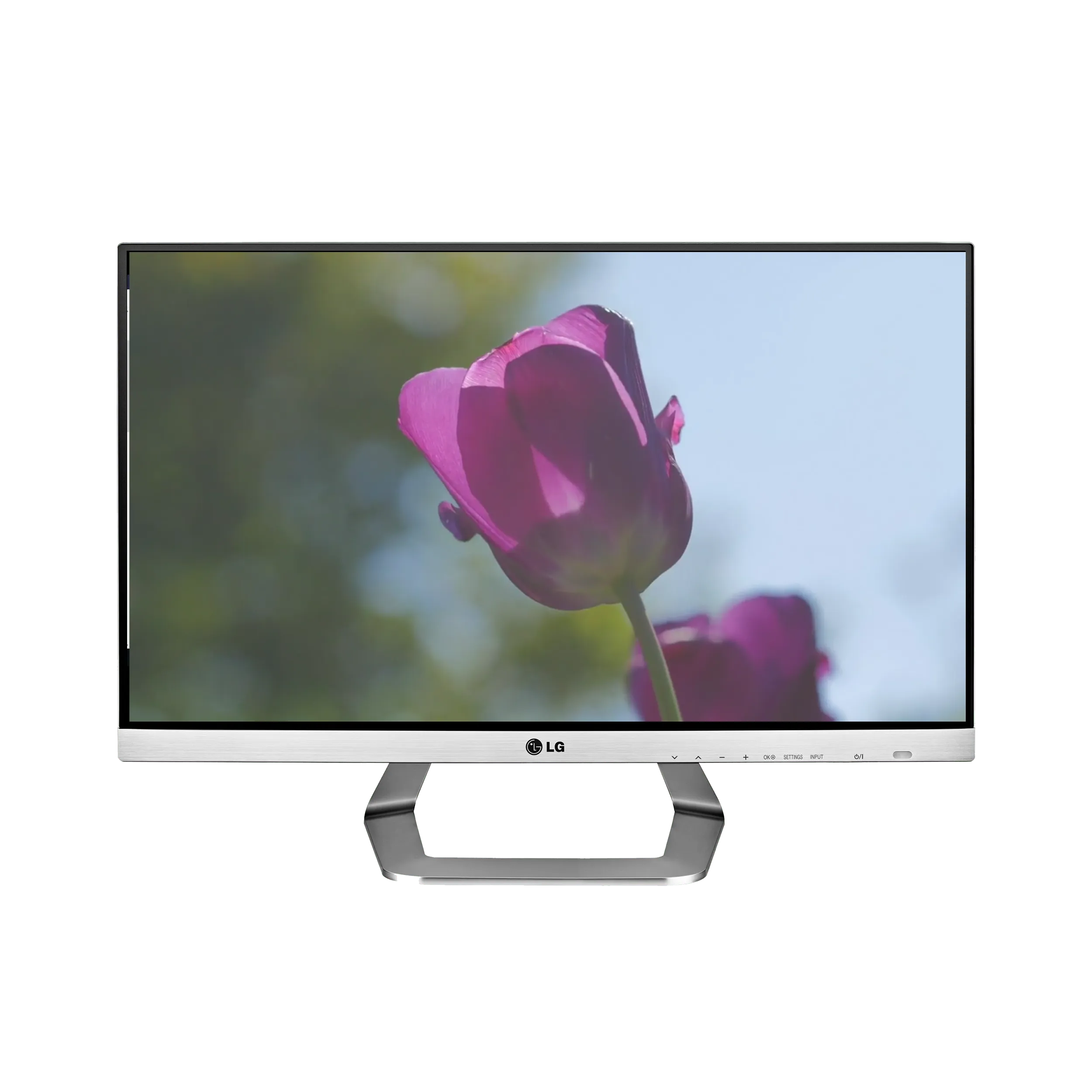 Spring Garden on Chromecast | Indus Appstore | Screenshot