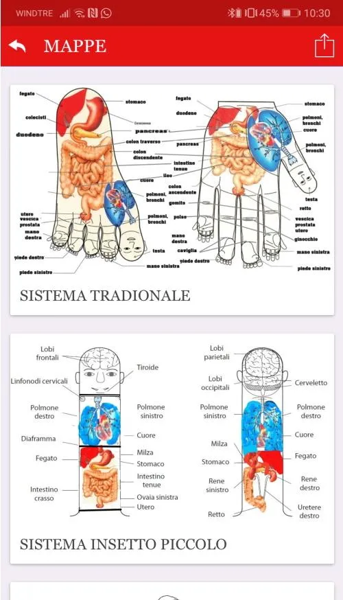 riflessologia sujok | Indus Appstore | Screenshot