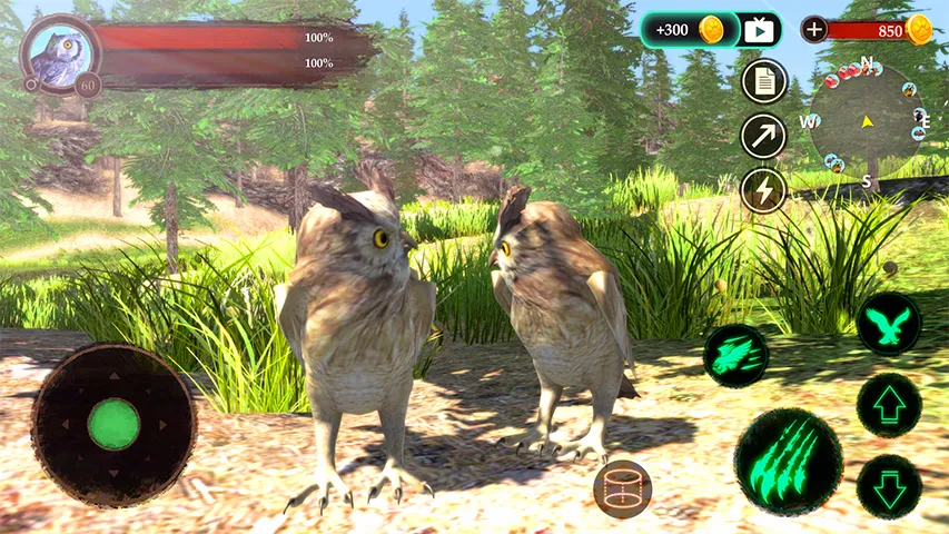 The Owl | Indus Appstore | Screenshot