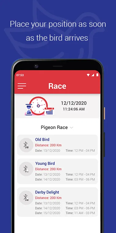 Pigeon Sports Clock | Indus Appstore | Screenshot