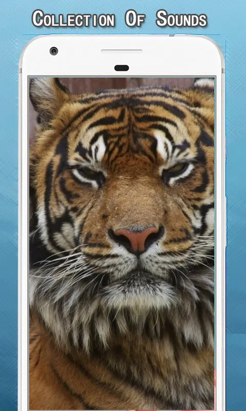 Tiger Sounds Ringtone | Indus Appstore | Screenshot