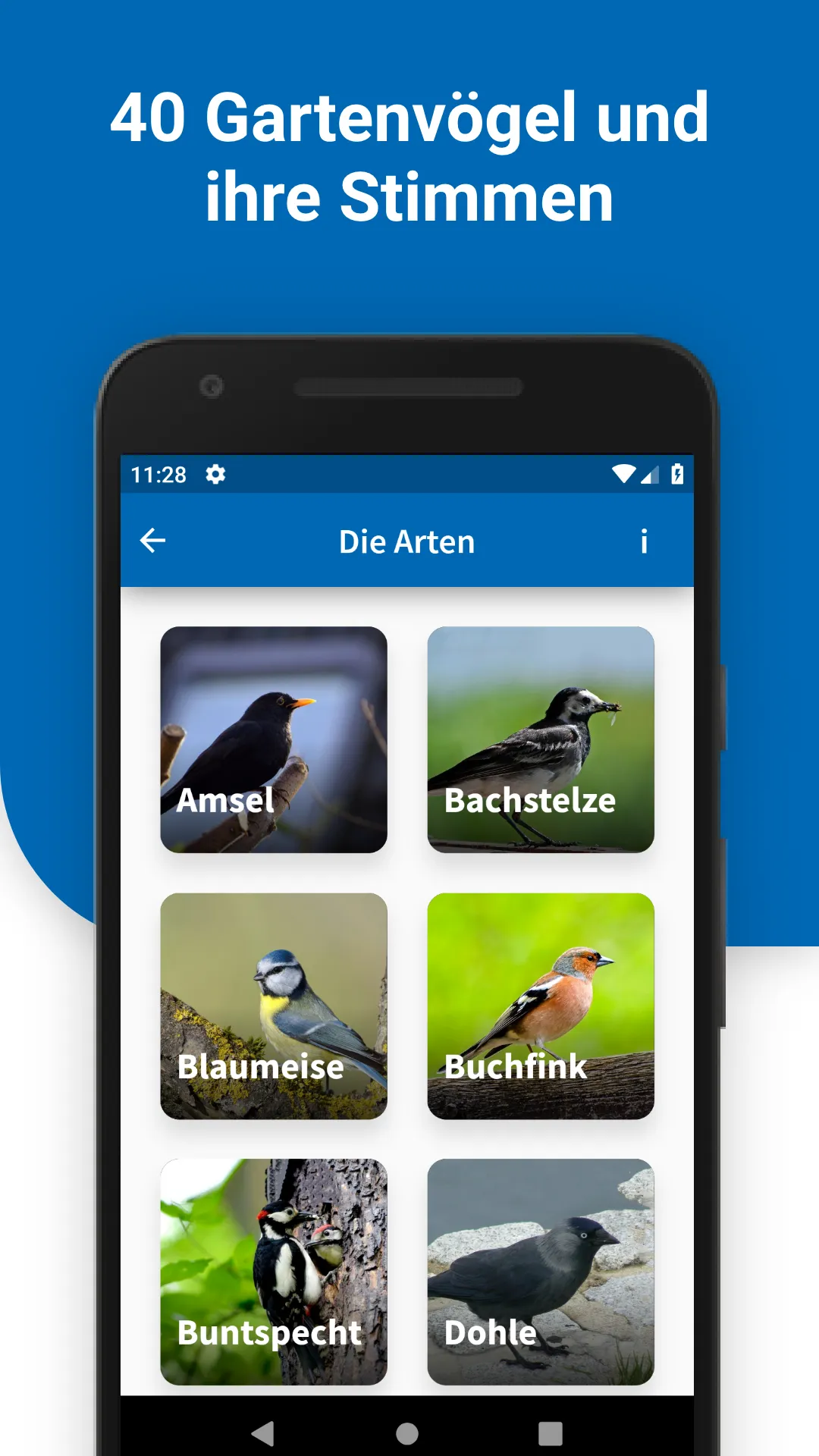 40 Gartenvögel & ihre Stimmen | Indus Appstore | Screenshot