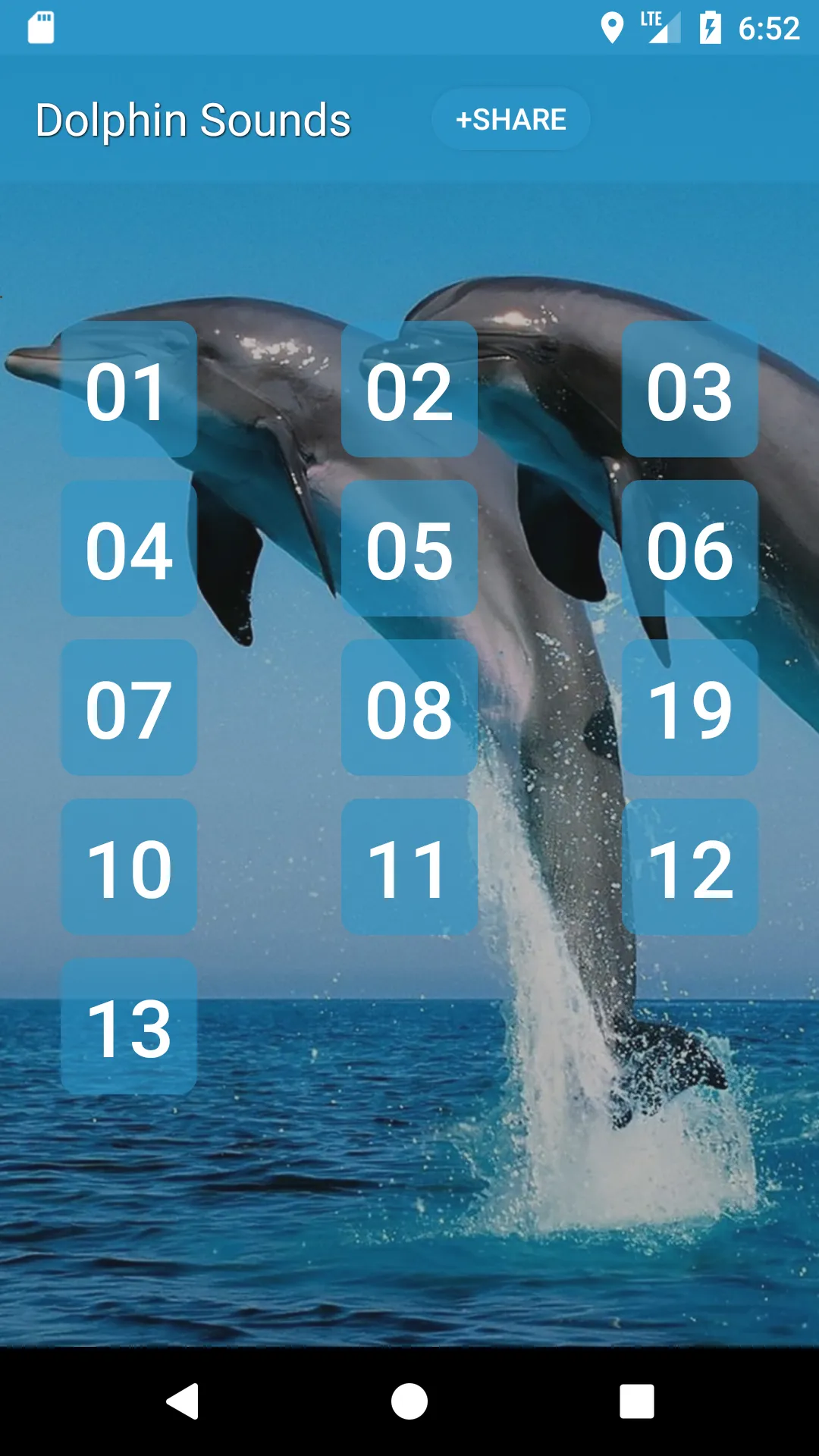 Dolphin (Animal) Sounds | Indus Appstore | Screenshot