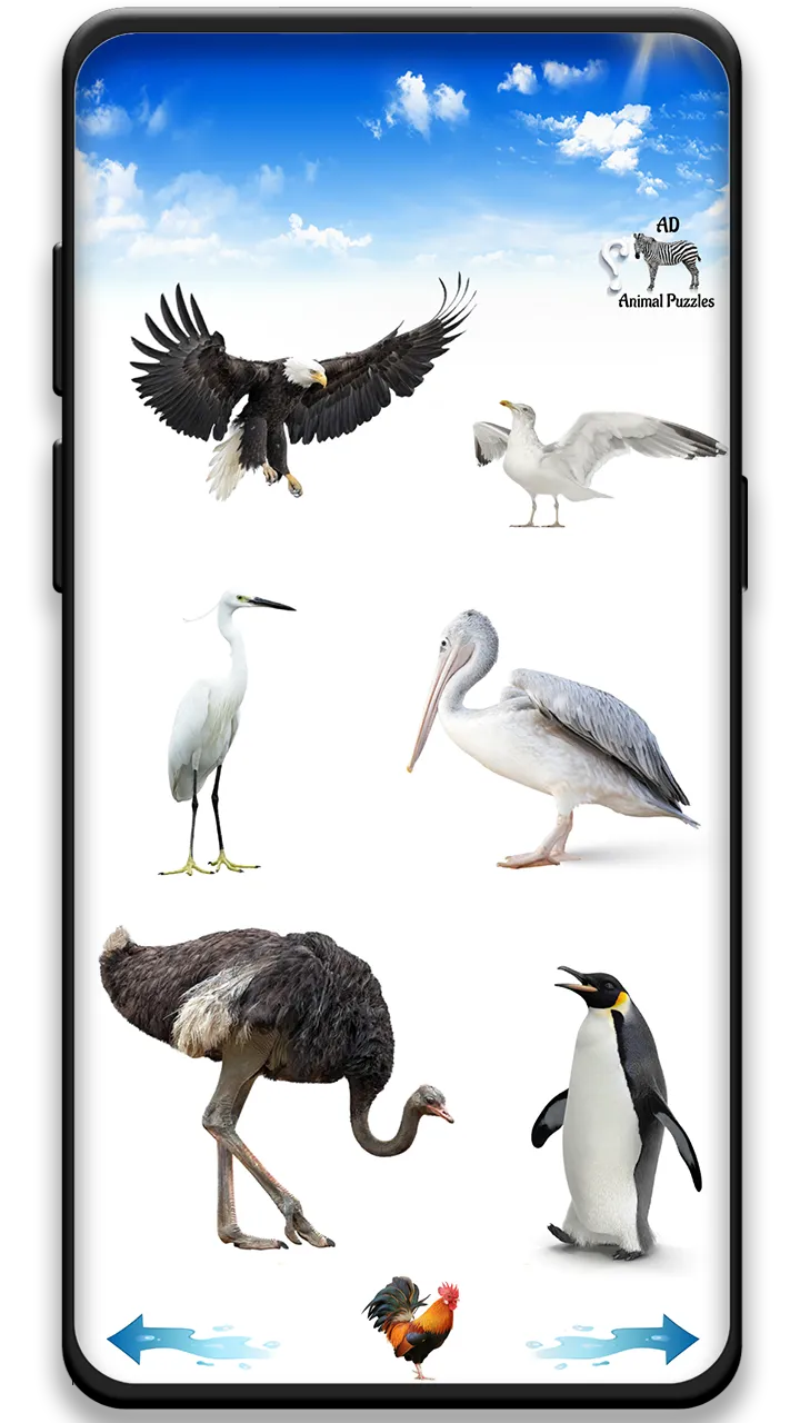 Bird sounds | Indus Appstore | Screenshot