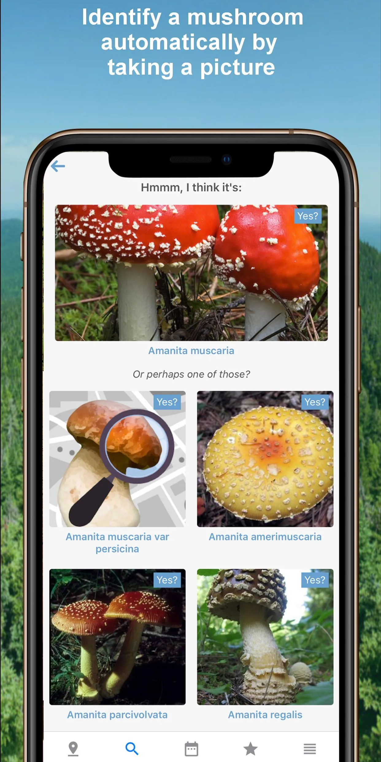 Mushroom Identify - Automatic  | Indus Appstore | Screenshot