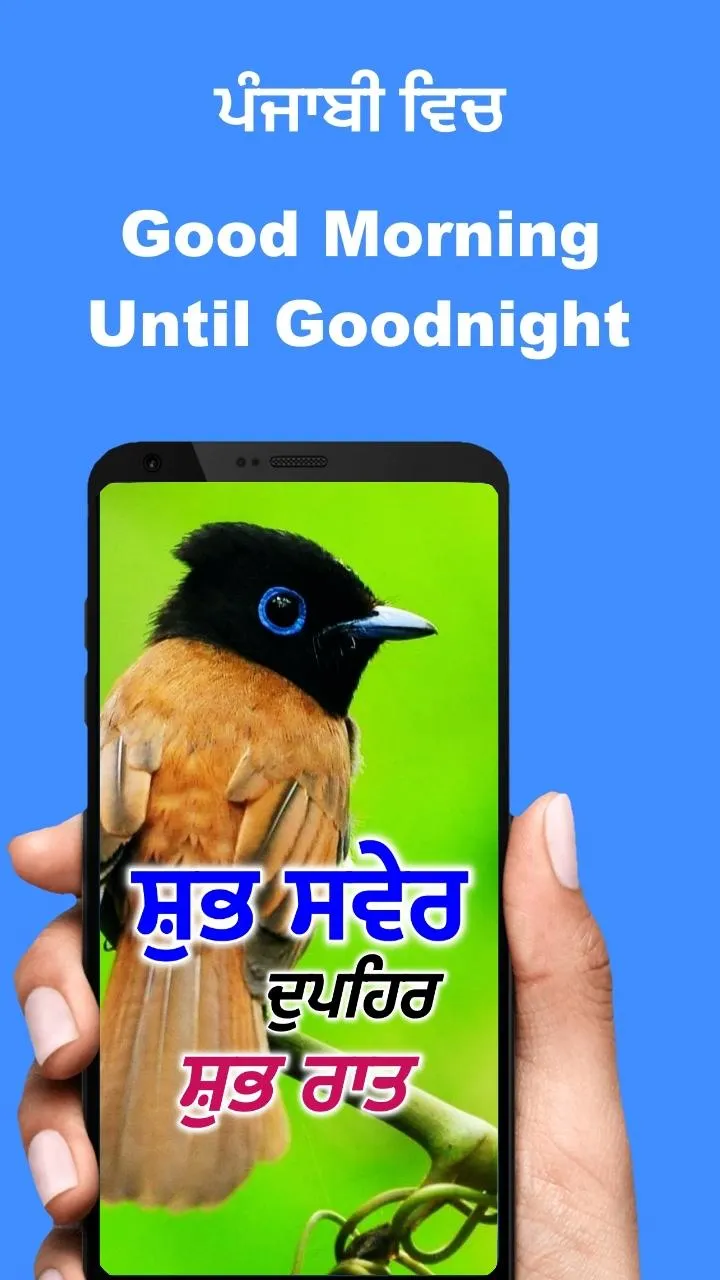 Punjabi Good Morning to Night | Indus Appstore | Screenshot