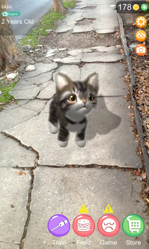 AR Cat | Indus Appstore | Screenshot