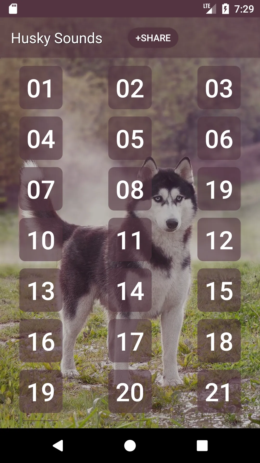 Siberian Husky Dog Sounds | Indus Appstore | Screenshot