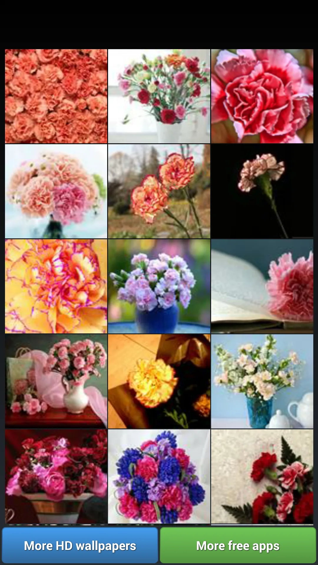 Carnation for Mum - Wallpapers | Indus Appstore | Screenshot