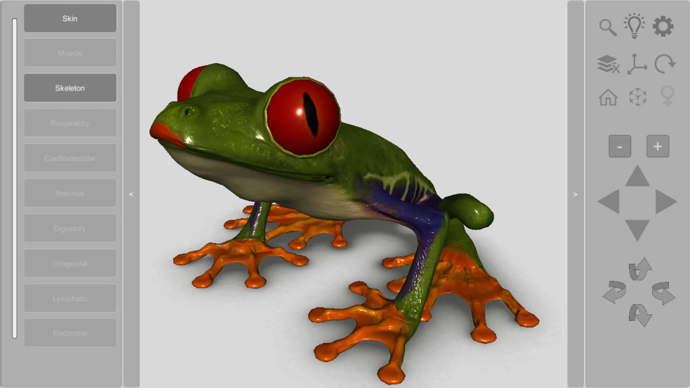 3D Frog Skeleton | Indus Appstore | Screenshot