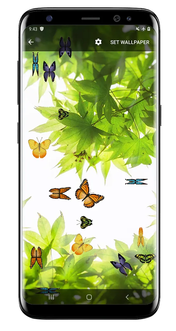 Butterfly and Blossom live wal | Indus Appstore | Screenshot