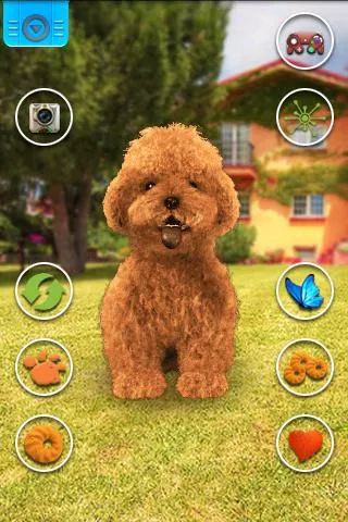 Talking Teddy Dog | Indus Appstore | Screenshot