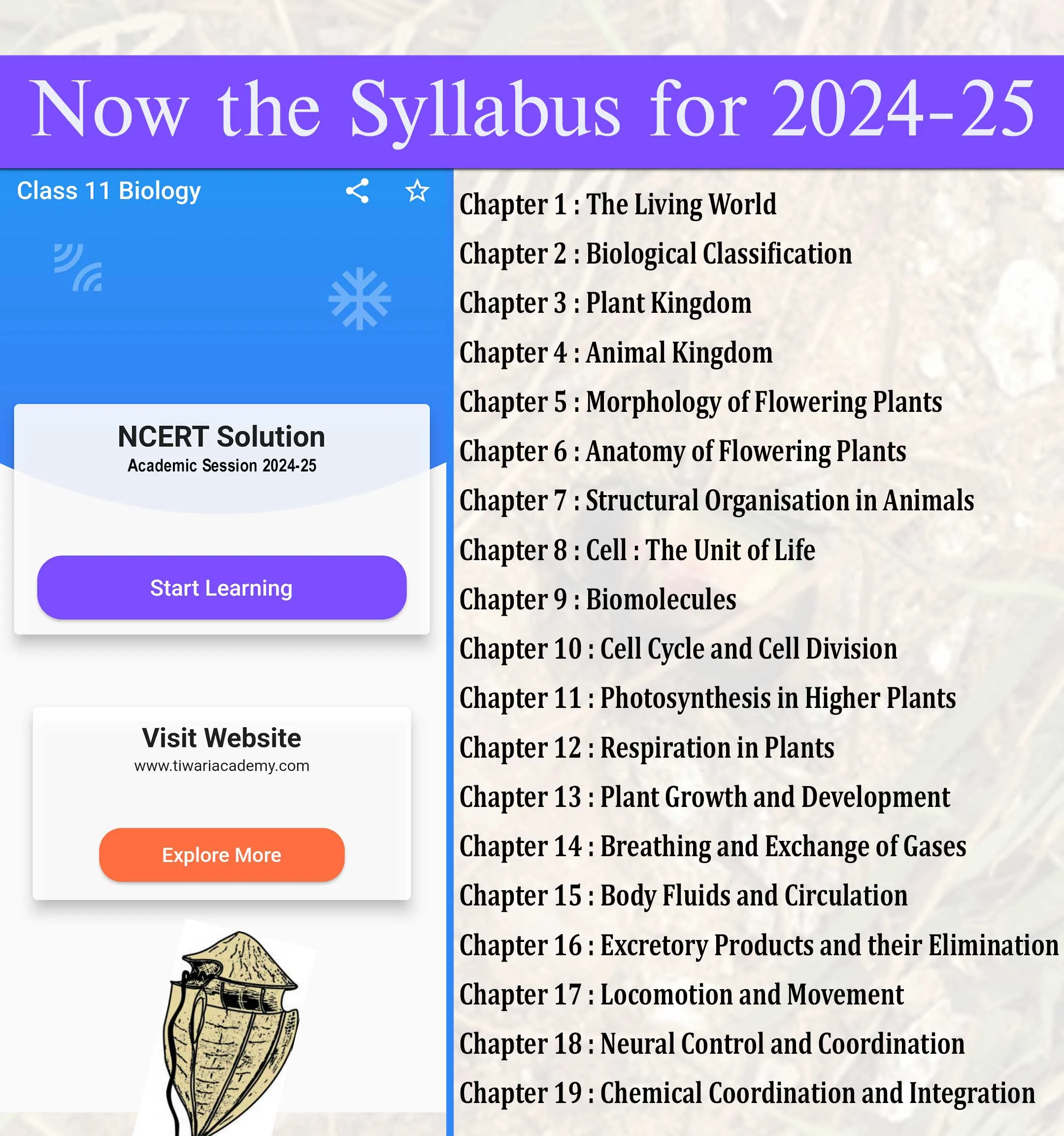 Class 11 Biology for 2024-25 | Indus Appstore | Screenshot