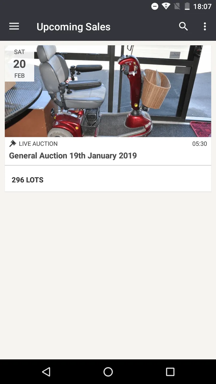 Nelson Auction House | Indus Appstore | Screenshot