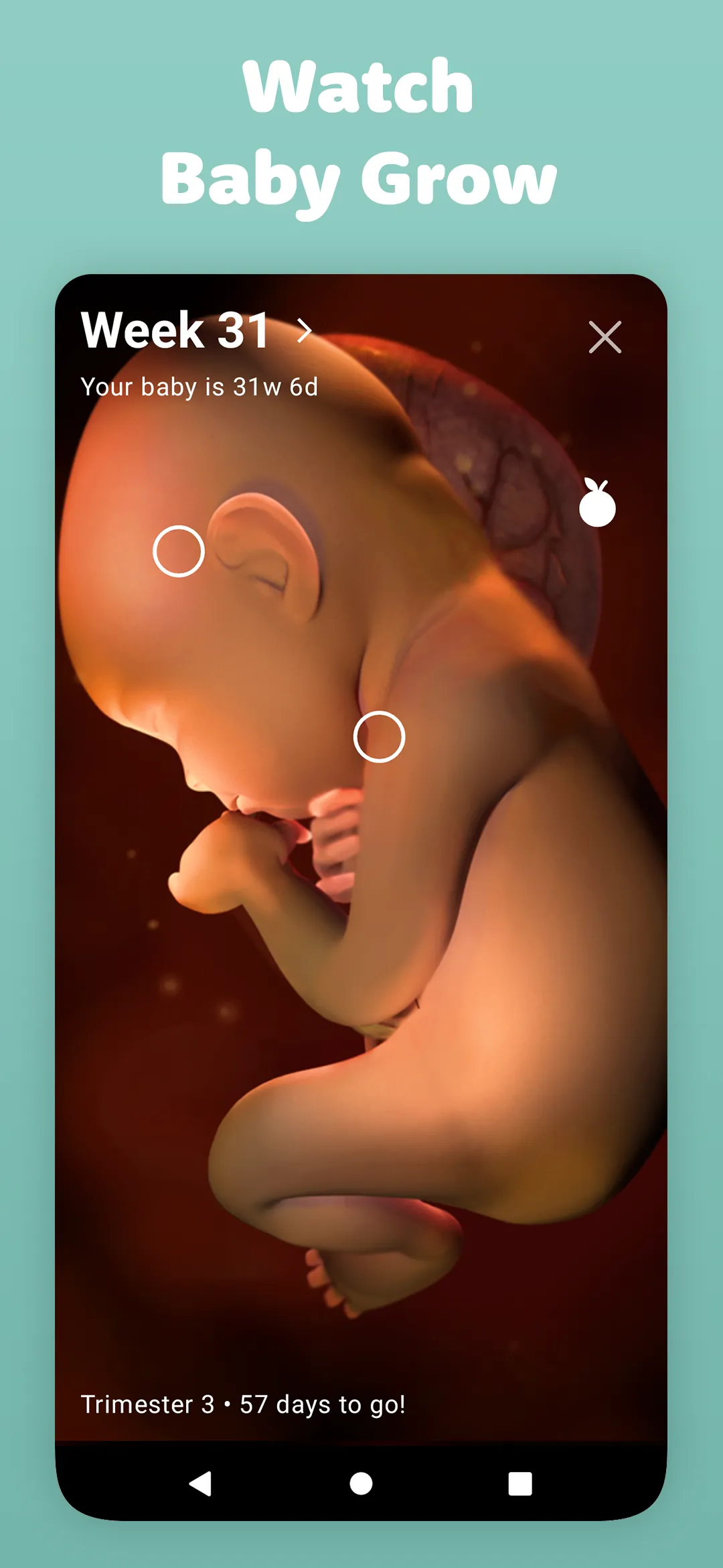 Pregnancy Tracker by Sprout | Indus Appstore | Screenshot