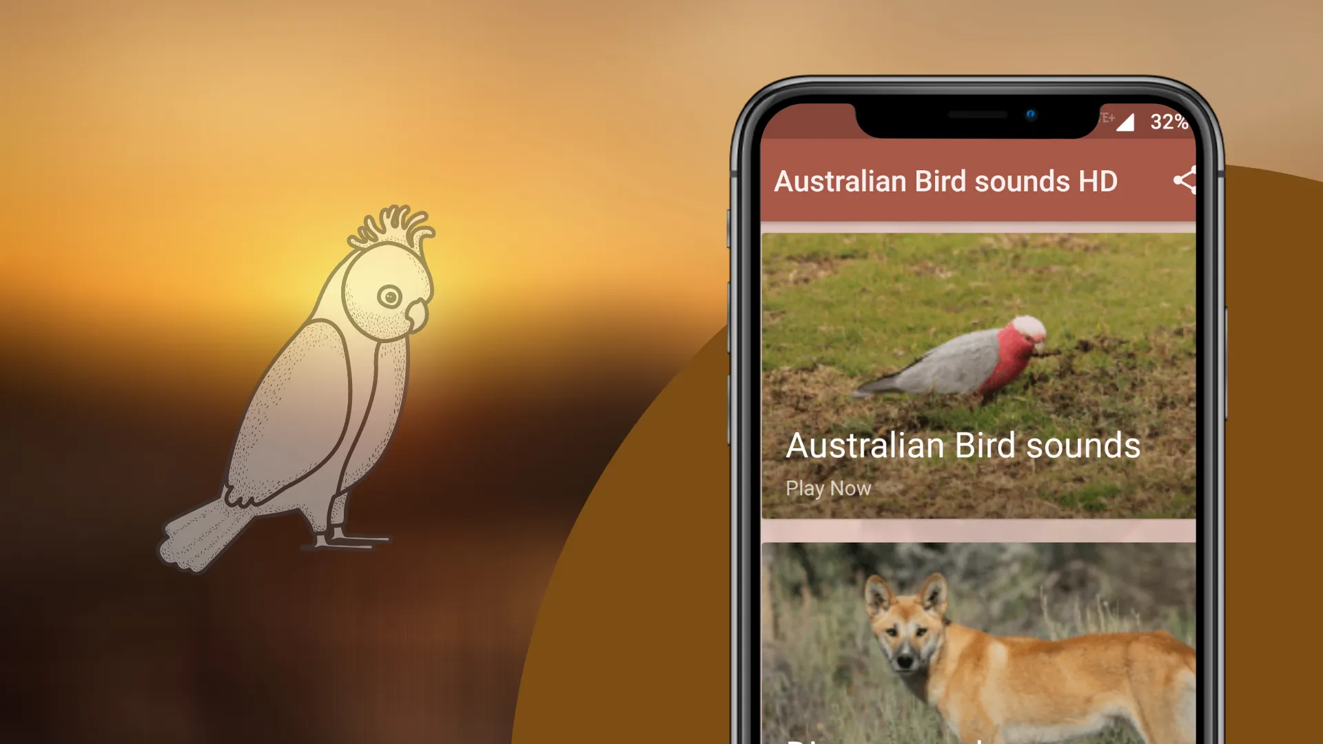 Australian Bird sounds | Indus Appstore | Screenshot